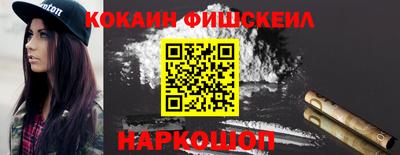 шишки Камышлов