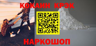 шишки Камышлов