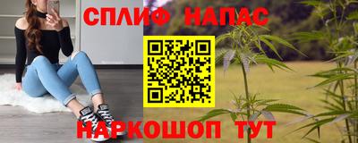 шишки Камышлов