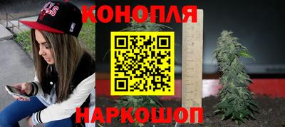 шишки Камышлов