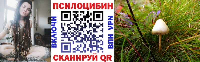 Галлюциногенные грибы Cubensis  Каменка 