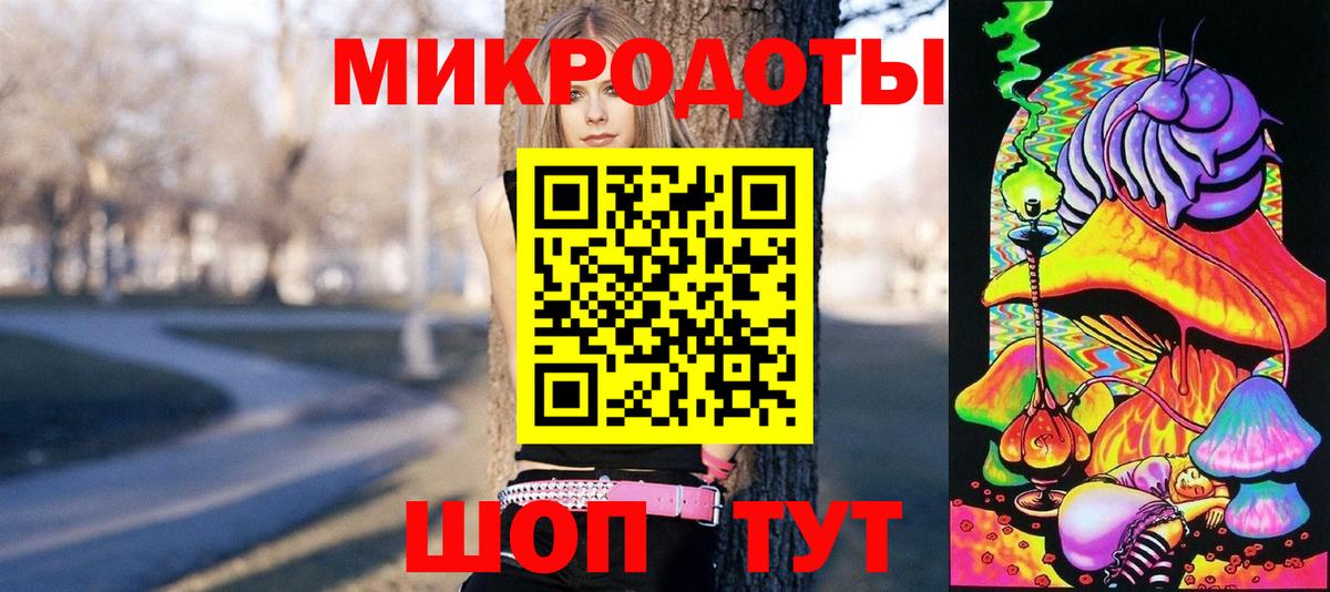 Галлюциногенные грибы Psilocybe Каменка